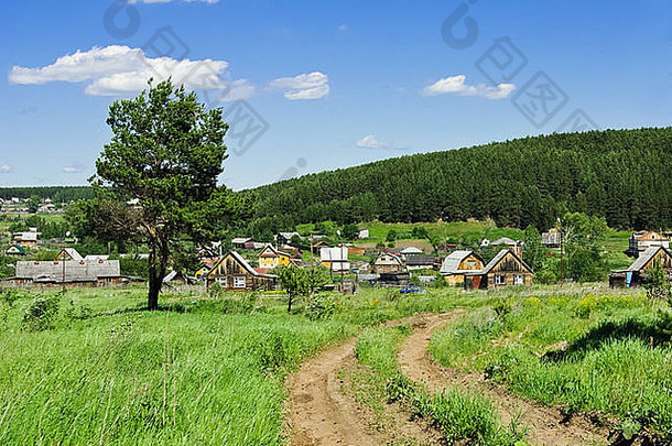 夏季景观，通往俄罗斯村庄的乡村道路