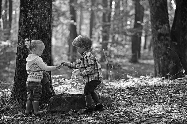 男孩女孩朋友野营森林童年孩子友谊爱信任哥哥妹妹有趣的新鲜的空气孩子们玩