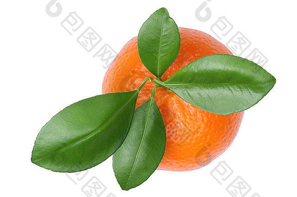 普通话橙色水果橘子前视图孤立的白色背景