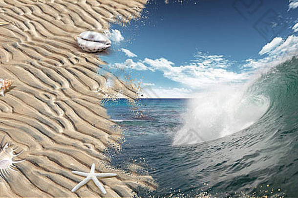 以海浪为背景的沙滩和贝壳