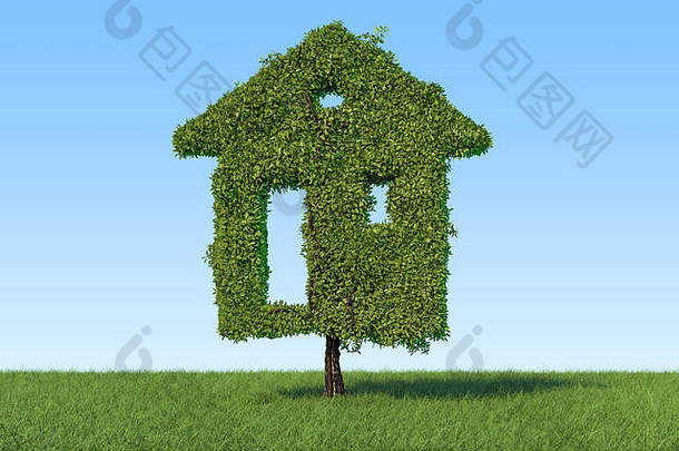 生态住宅概念。树在家的形状上绿草映衬蓝天，3D渲染