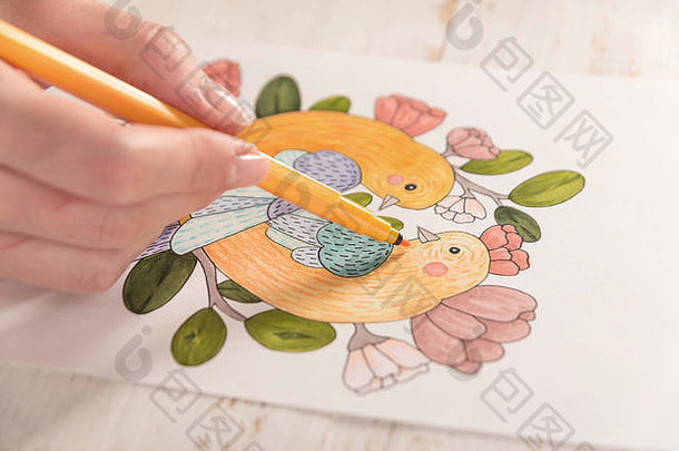 艺术家在纸上用记号笔画出美丽的鸟类图案的俯视图
