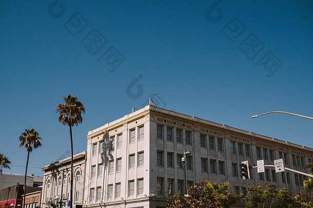 阳光明媚、棕榈树和蓝天的商业建筑