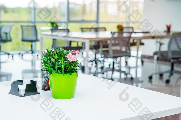 桌子上的焦点花盆，开放式办公空间的内部背景模糊不清，办公室有书桌、椅子和绿色植物。协同工作。