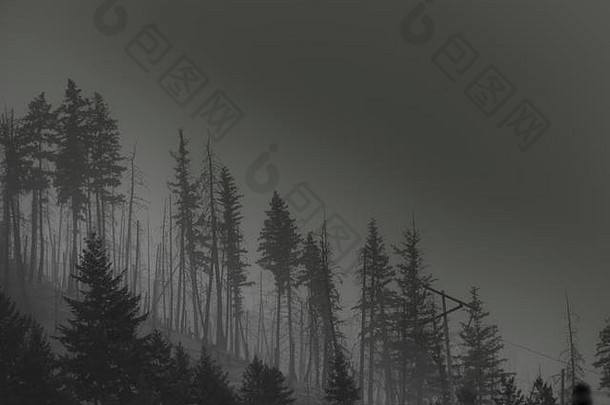 2017年加拿大森林中的烟雾和火灾