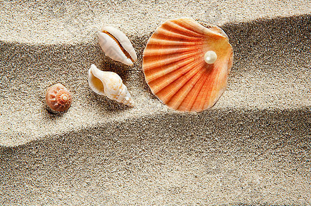 海滩沙滩珍珠蚌壳暑假静物