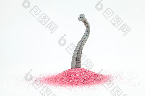 大象树干新兴桩粉红色的沙子隐藏最小的有趣的古怪的设计生活摄影