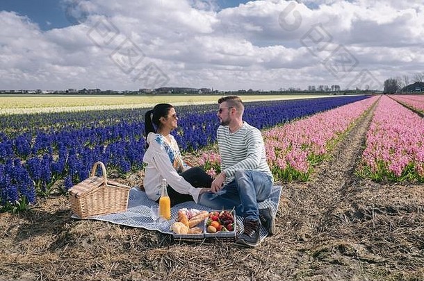 荷兰的春花季节，一对夫妇在春天在Lisse的球茎区野餐，背景是风信子花