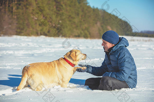 人和狗是最好的朋友。冬天带着狗坐在雪地里的那个人。训练有素的拉布拉多猎犬将爪子伸向该男子