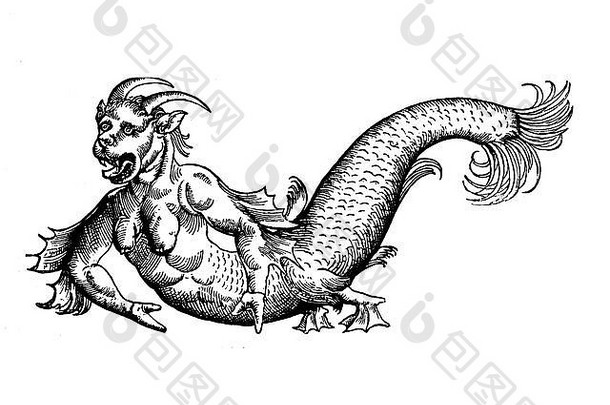 亚得里亚海的海魔怪物，中世纪雕刻，1598年