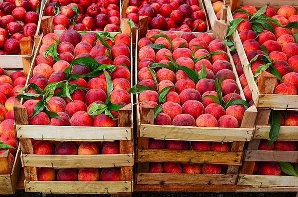新鲜的成熟的桃子木板条箱批发市场