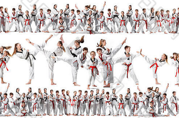 这幅拼贴画是关于一群孩子在训练空手道和在白色背景上摆姿势。攻击、运动、跆拳道、儿童活动概念