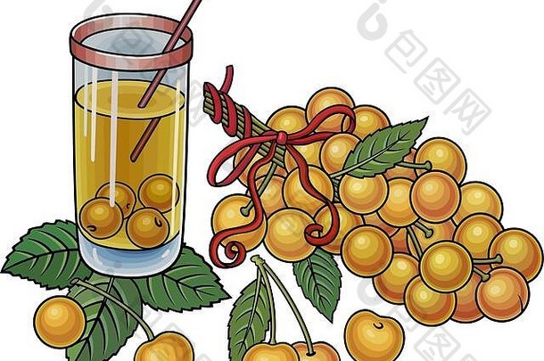 果汁、浆果、樱桃手绘插图