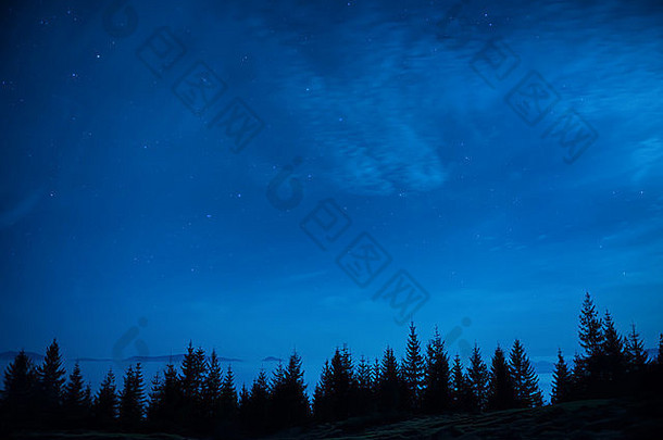 蓝色夜空下的松林，繁星点点。空间背景