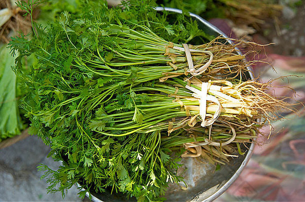 束新鲜的香菜尺度銮prabang市场老挝