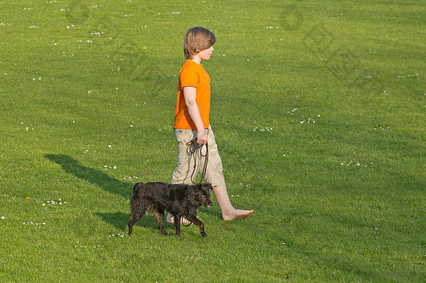 男孩牵着狗穿过草坪