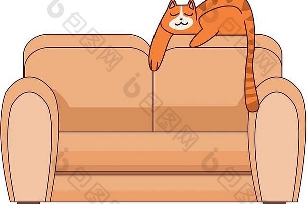 沙发厅的家具可爱的猫