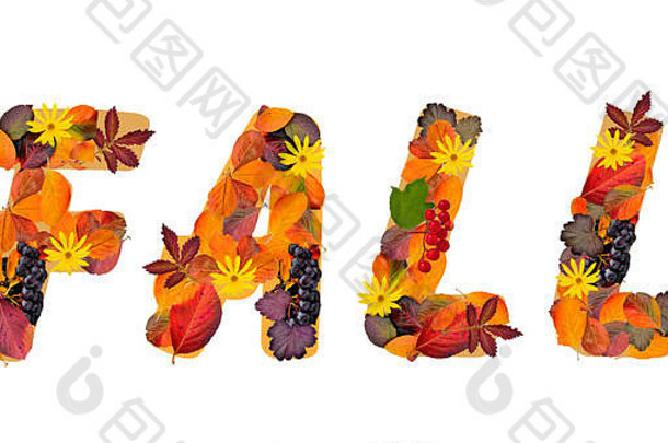 “秋天”这个词由不同植物鲜艳的秋叶和白色背景上分离的红紫色浆果组成
