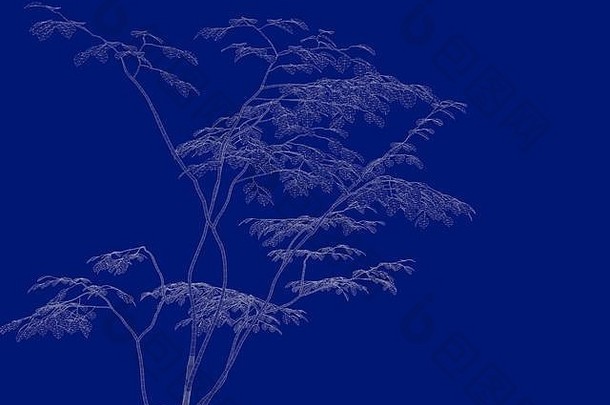 隔离在蓝色背景上的轮廓树蓝图的三维渲染