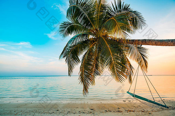 宁静的暑假或假日景观。热带日落海滩景观，棕榈树覆盖平静的海水，秋千或吊床。异域自然观
