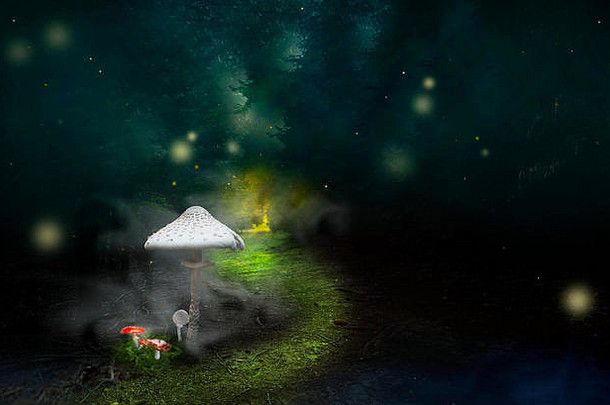神秘的森林路超现实主义的灯雾童话蘑菇