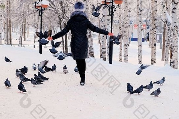 一位妇女在冬季公园里散步，鸽子坐在雪地上。一个女人在下雪天出门