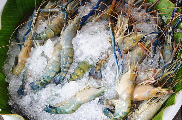 冰上巨型淡水虾在市场上出售