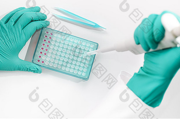 戴手套动手PCR反应用于DNA分析