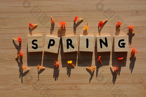 春天词木字母信包围橙色马樱丹属花概念春天季节有发热