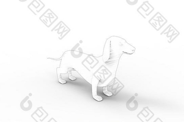 白色隔离达克斯猎犬多视图的三维渲染草图