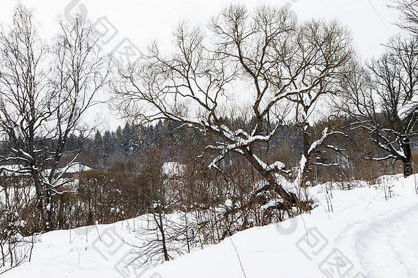 俄罗斯斯摩棱斯克地区冬日里古老的俄罗斯小村庄的人行道和景观