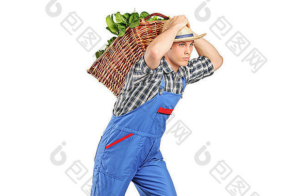 农民携带篮子完整的蔬菜回来