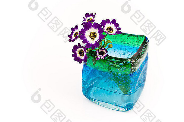 蓝色玻璃花瓶中的花与白色花瓶隔离