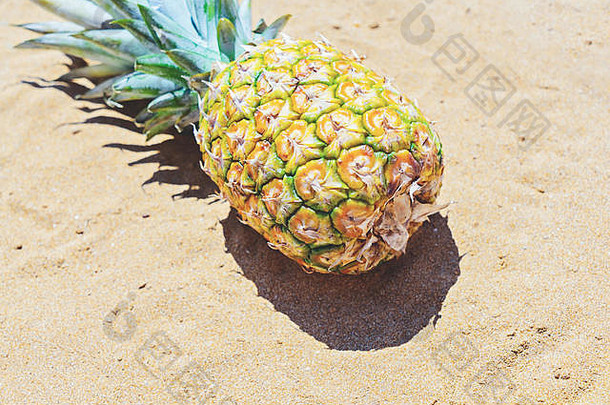 沙滩上成熟菠萝果实的特写镜头，带有复印空间。夏季背景概念