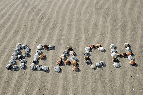 词海滩写沙子贝壳