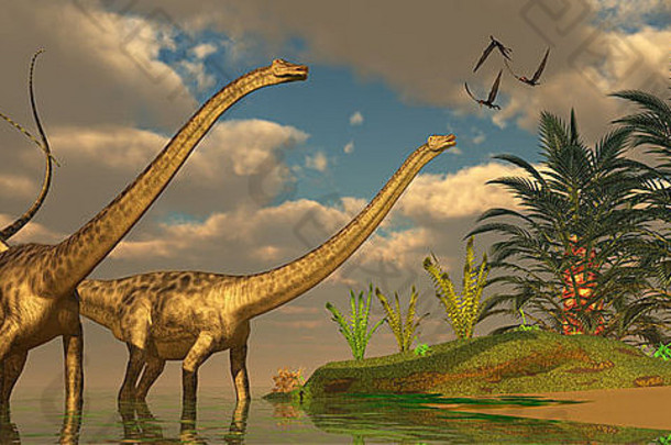 三只Dorygnathus恐龙在交配仪式中飞越双龙龙。
