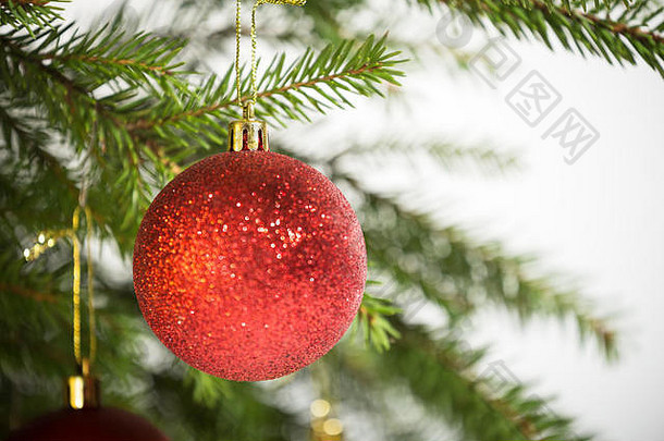 圣诞装饰品，一个红色的球挂在圣诞树上