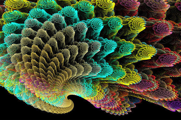 分形线被编织成美丽的图案，形成各种各样的彩色贝壳。
