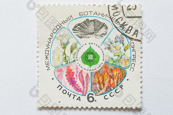 乌日哥罗德乌克兰约邮资邮票印刷苏联显示十二世国际植物国会列宁