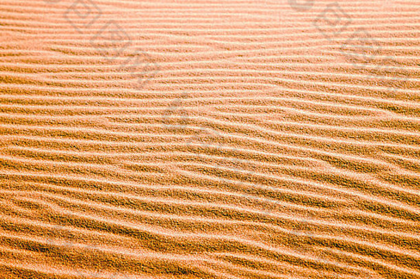 在摩洛哥的黄色沙漠中，孤独的沙丘