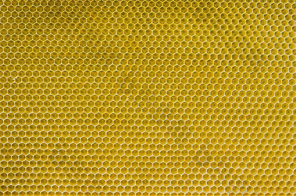 蜂窝模式黄色的空细胞日光