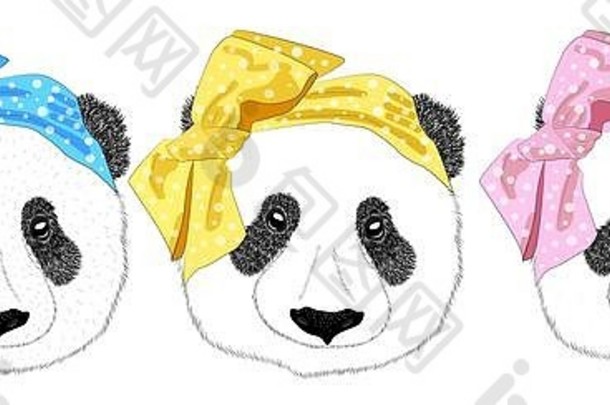 一个60年代风格的熊猫女孩头和一个打领带的熊猫男人头的手绘插图，套装。