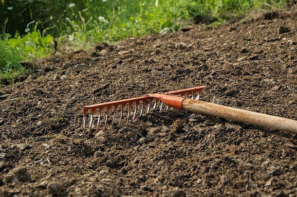 耙入土壤、园艺/农业作业工具、文本空间