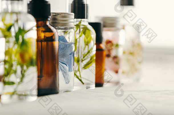 透明瓶精油和新鲜草药和鲜花，按摩、芳香疗法或水疗的自然疗法。天然药物