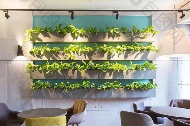 模式形成植物能墙现代咖啡馆