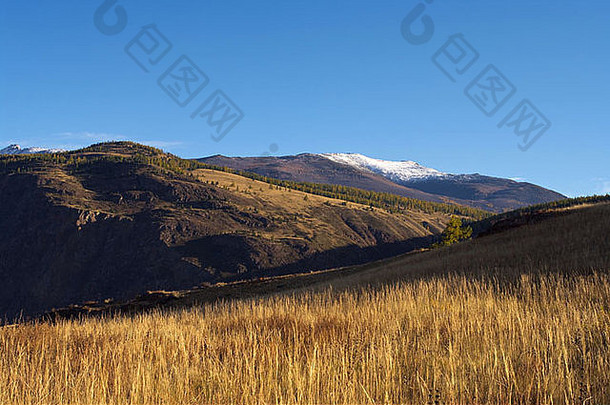 白雪皑皑的山峰和枯草丛生的山谷