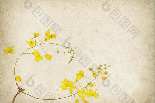 黄色的花开花古董古董纸背景
