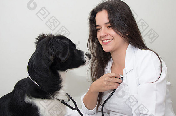 狗考生兽医