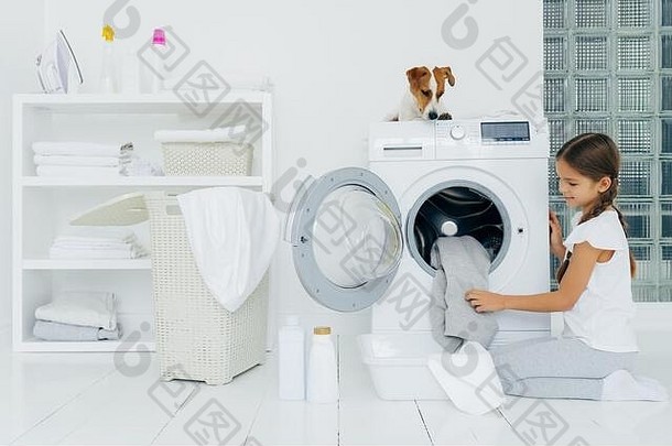 忙碌的小女孩在家洗衣服，跪在洗衣机旁，用液体粉末，纯种狗放在洗衣机上，看着小f