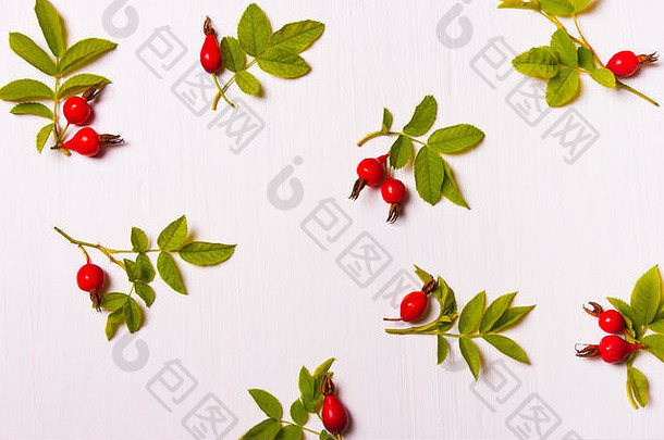 白色背景上红花、浆果和绿叶的图案和组成。平面布置，俯视图。